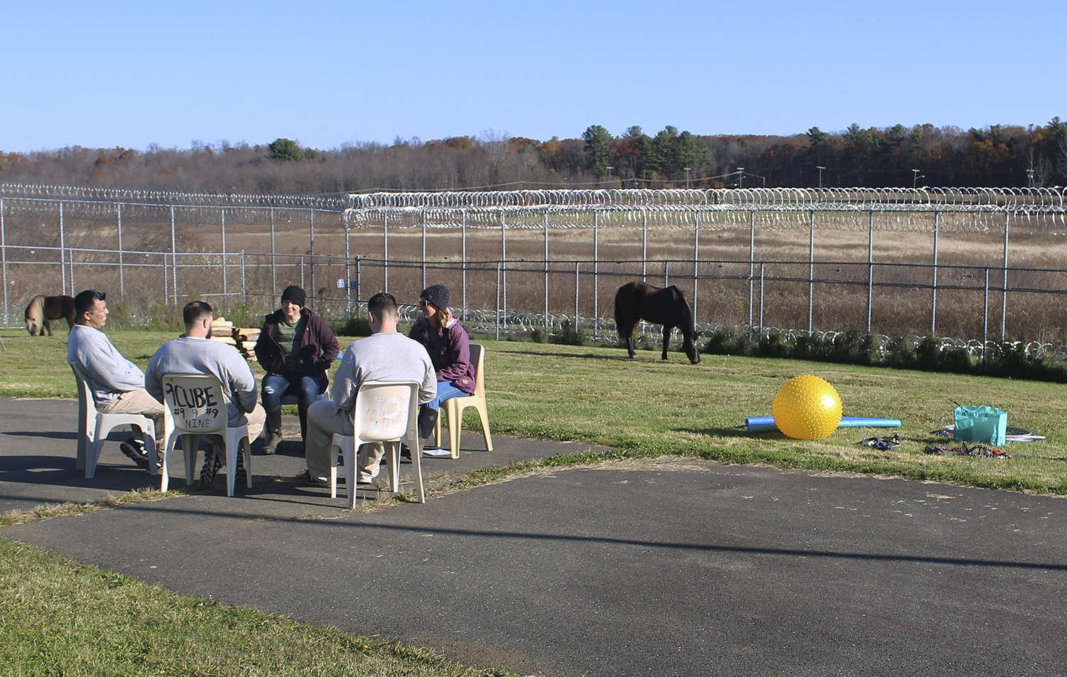 equine-assisted psychotherapy